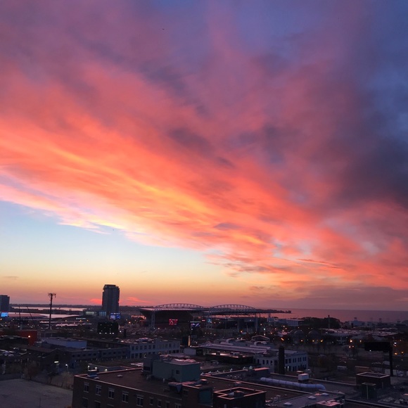 Meet your Posher, Dot. - Picture 8 of 16